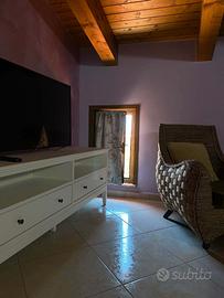 Beucarnea apartment
