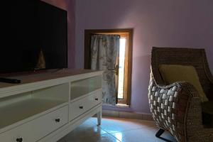 Beucarnea apartment