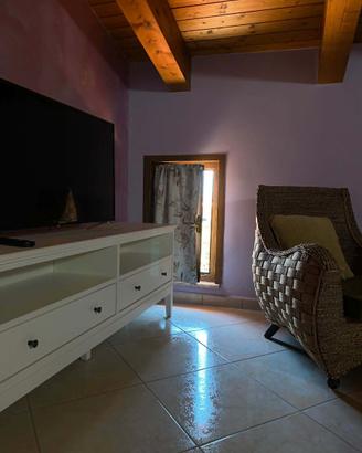 Beucarnea apartment