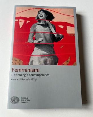 Libro Ghigi Femminismi Nuovo
