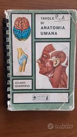 Tavole di anatomia umana