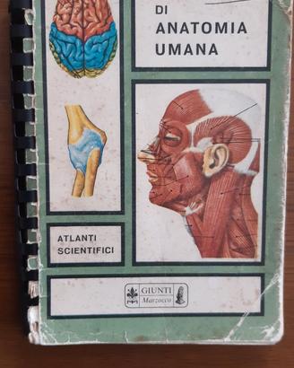 Tavole di anatomia umana