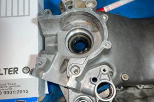 carter minarelli orizzontale