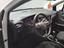Immagine 12