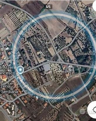 Oliveto vicino al paese, tra Serdiana e Dolianova