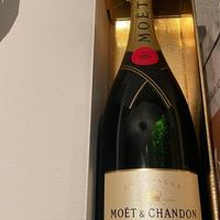 Champagne Moet Chandon lt 1,5