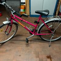 Specialized HardRock vintage anni 90