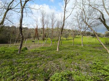 Casolare rustico + terreno