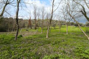 Casolare rustico + terreno