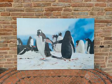 Canvas quadro su Tela Pinguini 