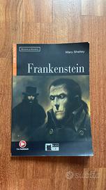 Frankenstein - edizione inglese