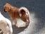 Immagine 2