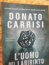 L'uomo del labirinto 