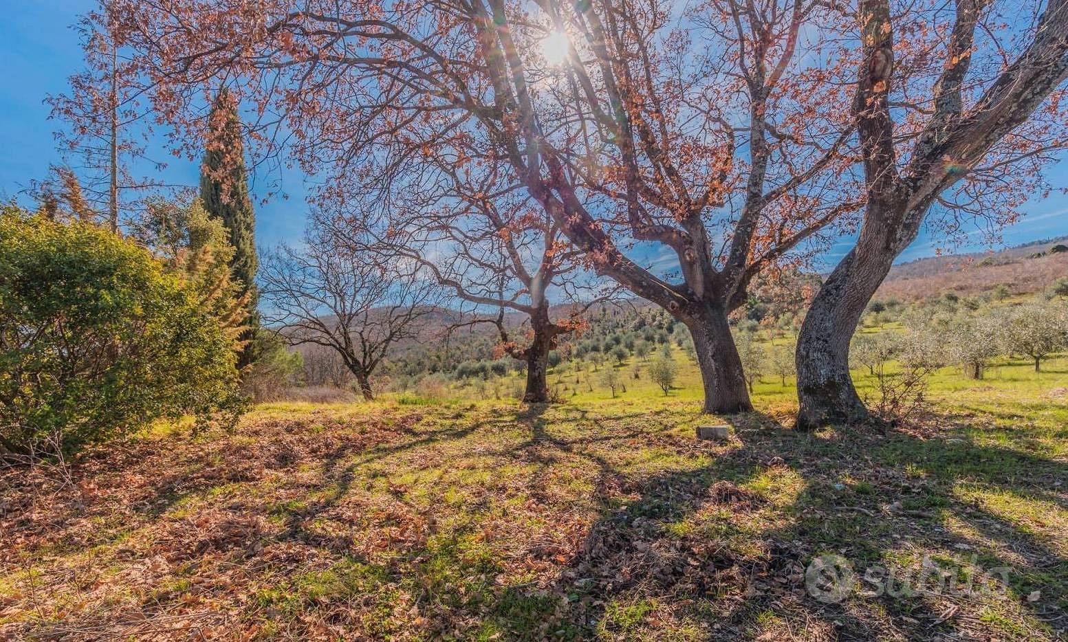 Rustico in pietra con 19 ha di terreno Laiatico - Vista 5
