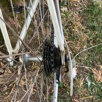 Bici da corsa