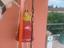 Immagine 2