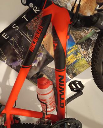 Bicicletta