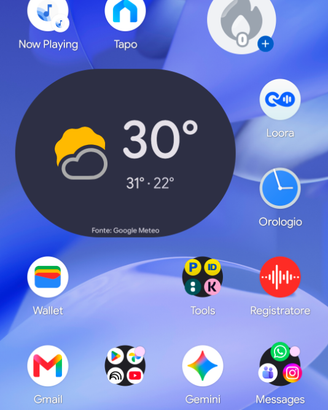 Google Pixel 9a 256 GB garanzia Google 17 mesi