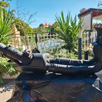 Collettore di scarico BMW S1000 R dal 2021 in poi