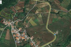 Terreno agricolo Mandaradoni di Briatico