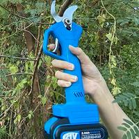 due forbici da potare a batteria 21 V