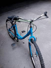 bici montainbike 