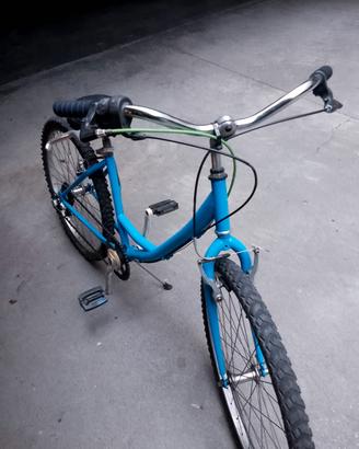 bici montainbike 