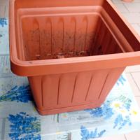 vaso in plastica 
