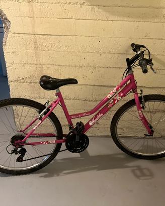 bicicletta wegabike