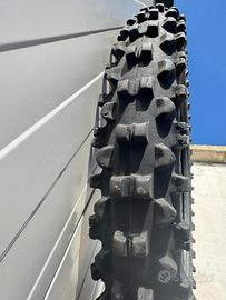 Gomma anteriore metzler