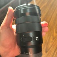 Sony G 18-105 F4.