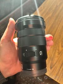 Sony G 18-105 F4.