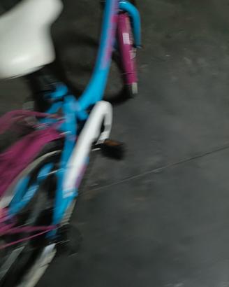 Bicicletta Bambina. 