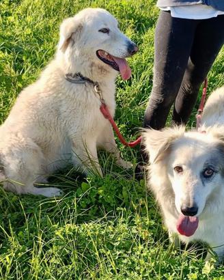 Titty e Tony due splendide creature rinchiuse