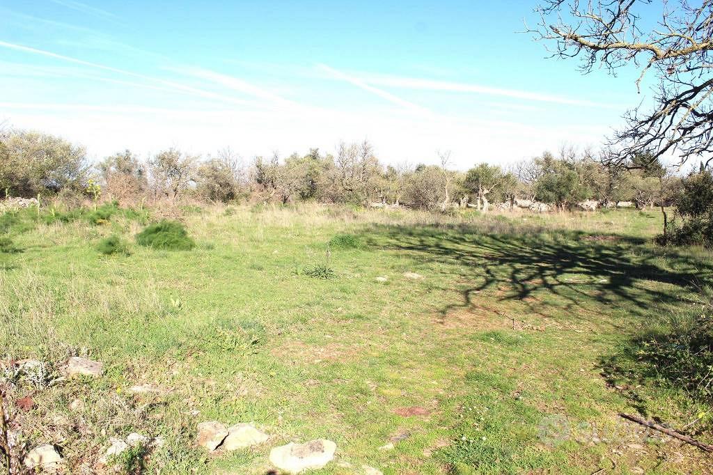 Terreno di 2184 m² a Santeramo in Colle - Vista 3