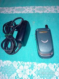 motorola v 51