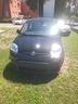 fiat-panda-1-0-s-s-hybrid-km-zero