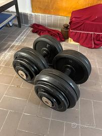 Manubri coppia 30kg ciascuno