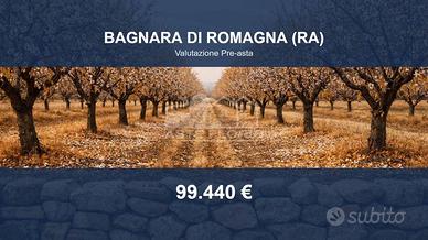 Immobile in asta di 51684 m² a Bagnara di Romagna