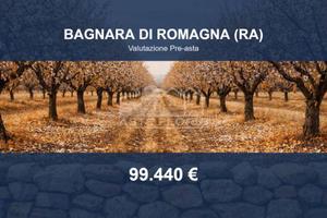Immobile in asta di 51684 m² a Bagnara di Romagna
