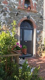 Appartamento nel verde