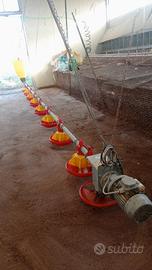 attrezzature per azienda avicola