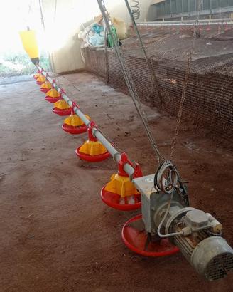 attrezzature per azienda avicola