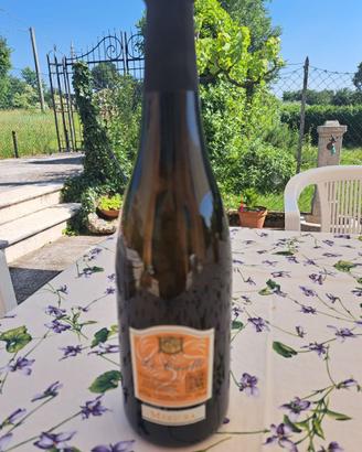 BOTTIGLIE RENANE VUOTE TAPPO CORONA
