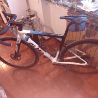 olmo Nerax di 12 ultegra