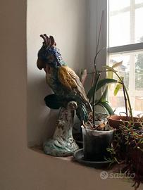 Papagallo ceramica