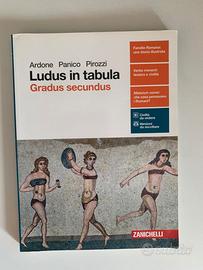 Ludus in tabula gradus secundus