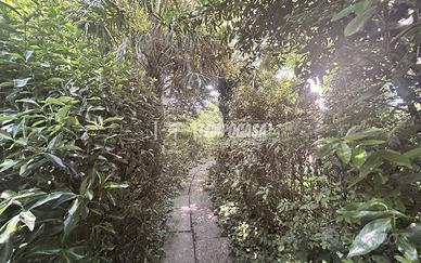 Casa di campagna Jolanda di Savoia