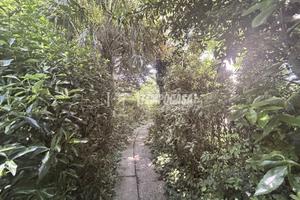 Casa di campagna Jolanda di Savoia