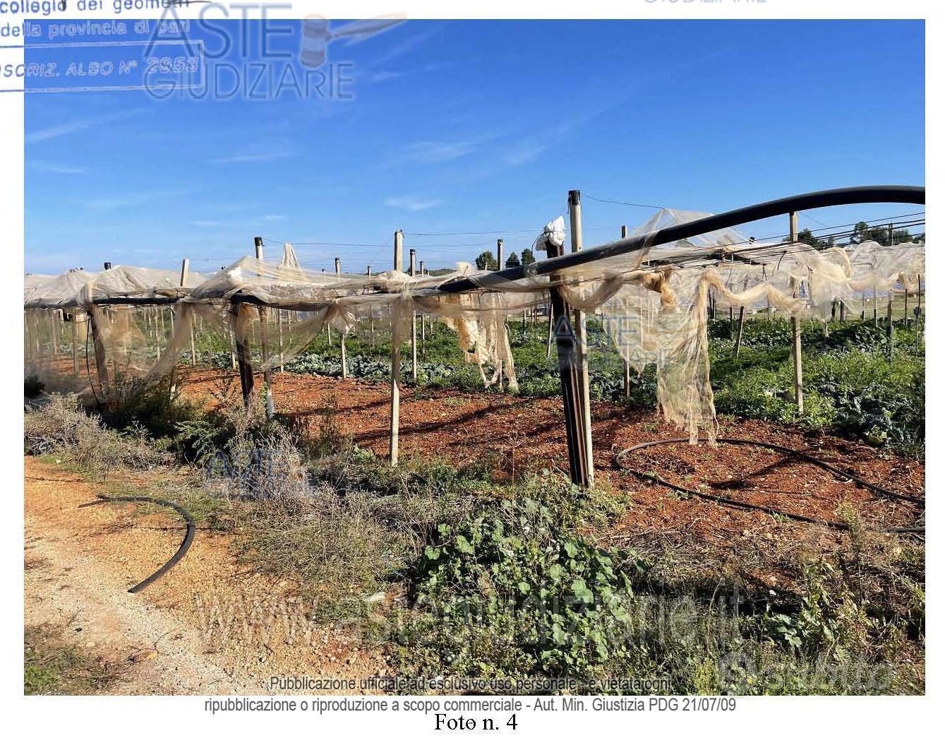 Terreno Agricolo Conversano [A4322887] - Vista 4